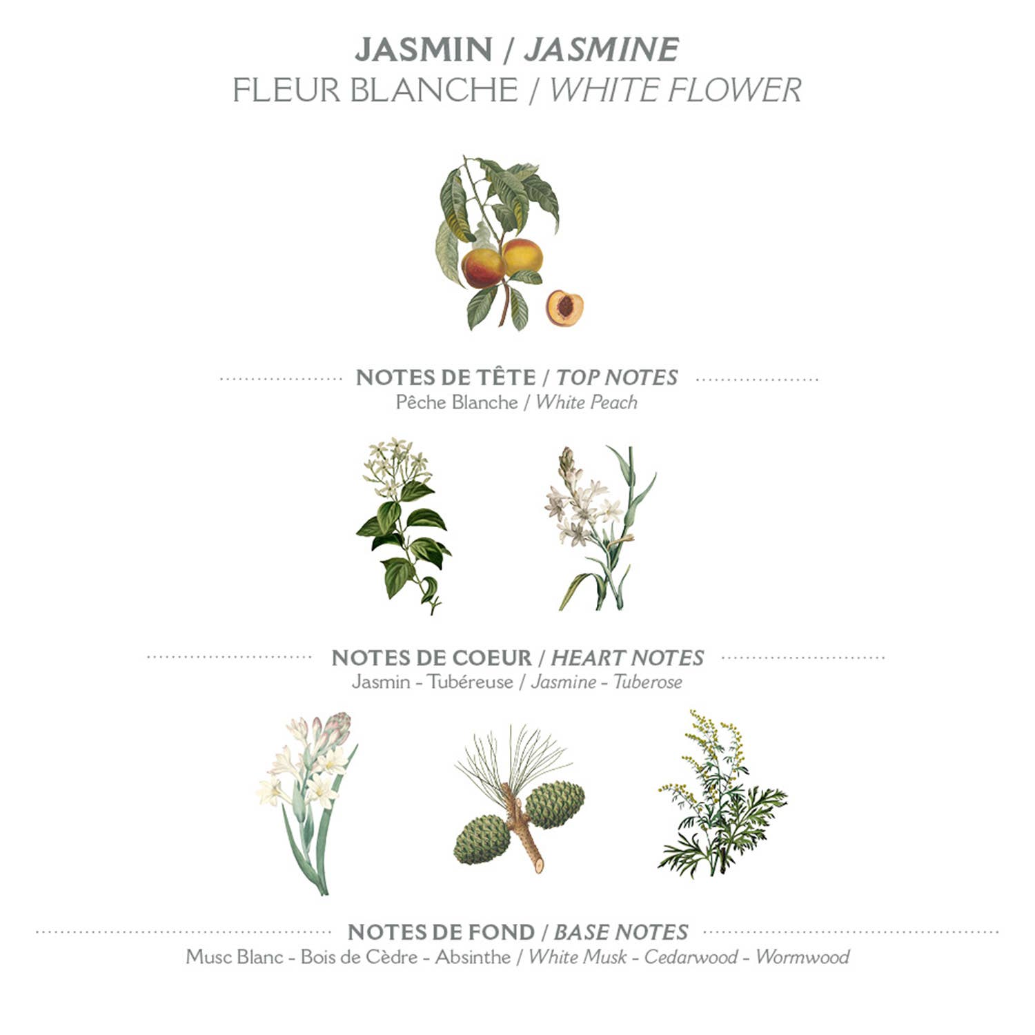 Panier Des Sens Precious Jasmine Hand Cream