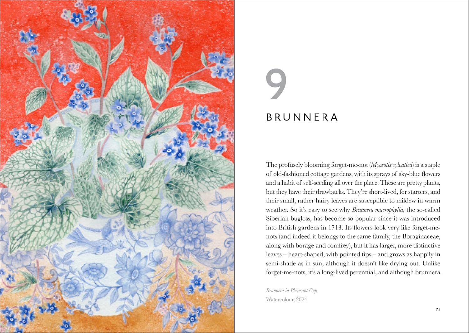 The Book of Garden Flowers by Angie Lewin and Christopher Stocks