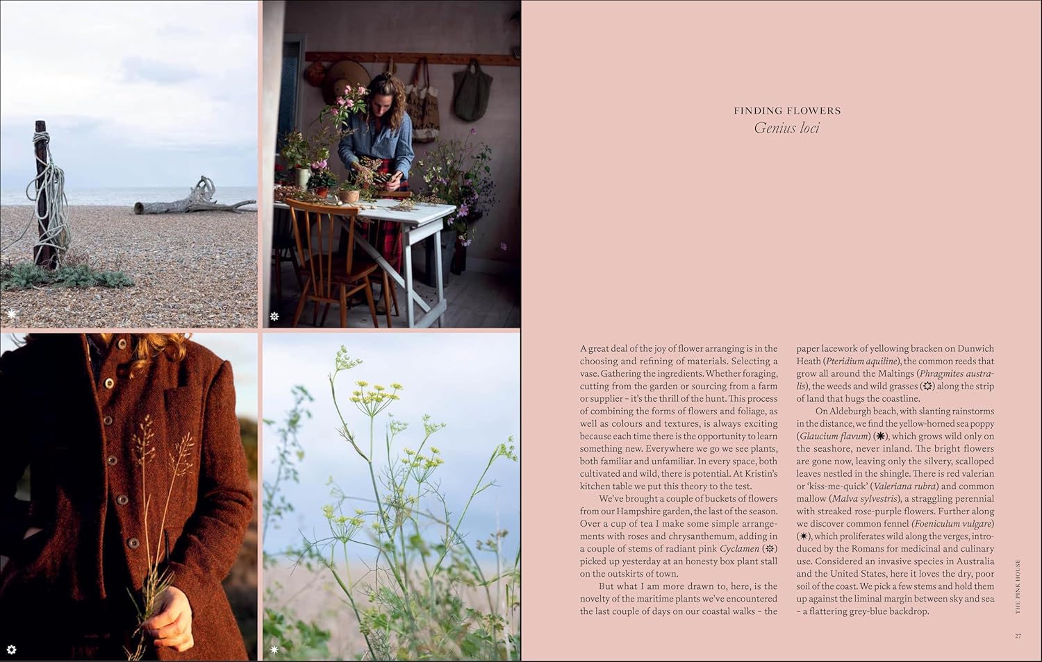Naturalistic Flowers, A Year of Plants, Places and People by Aesme Studio