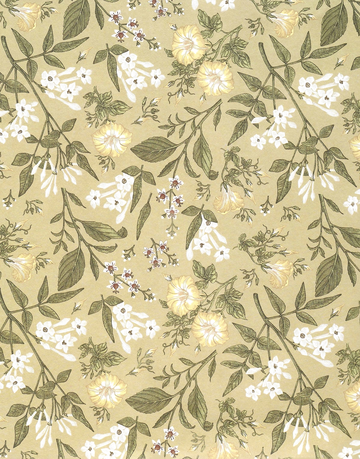 Floral pattern with green leaves and white flowers on a beige background