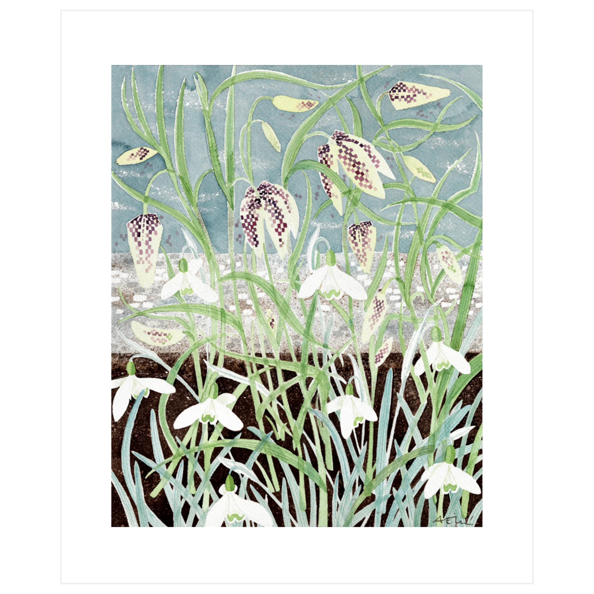 Card Fritillaries and Snowdrops