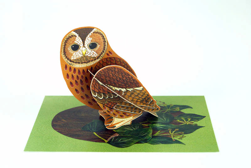Card Pop Out Owl