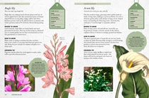 The Kew Gardener's Guide to Growing Bulbs