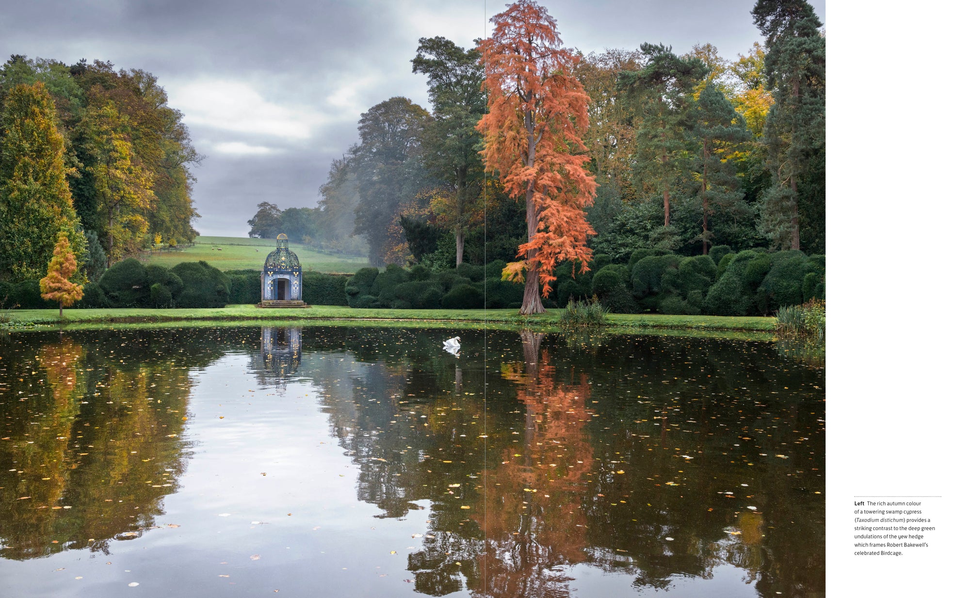 Melbourne Hall Garden by Jodie Jones