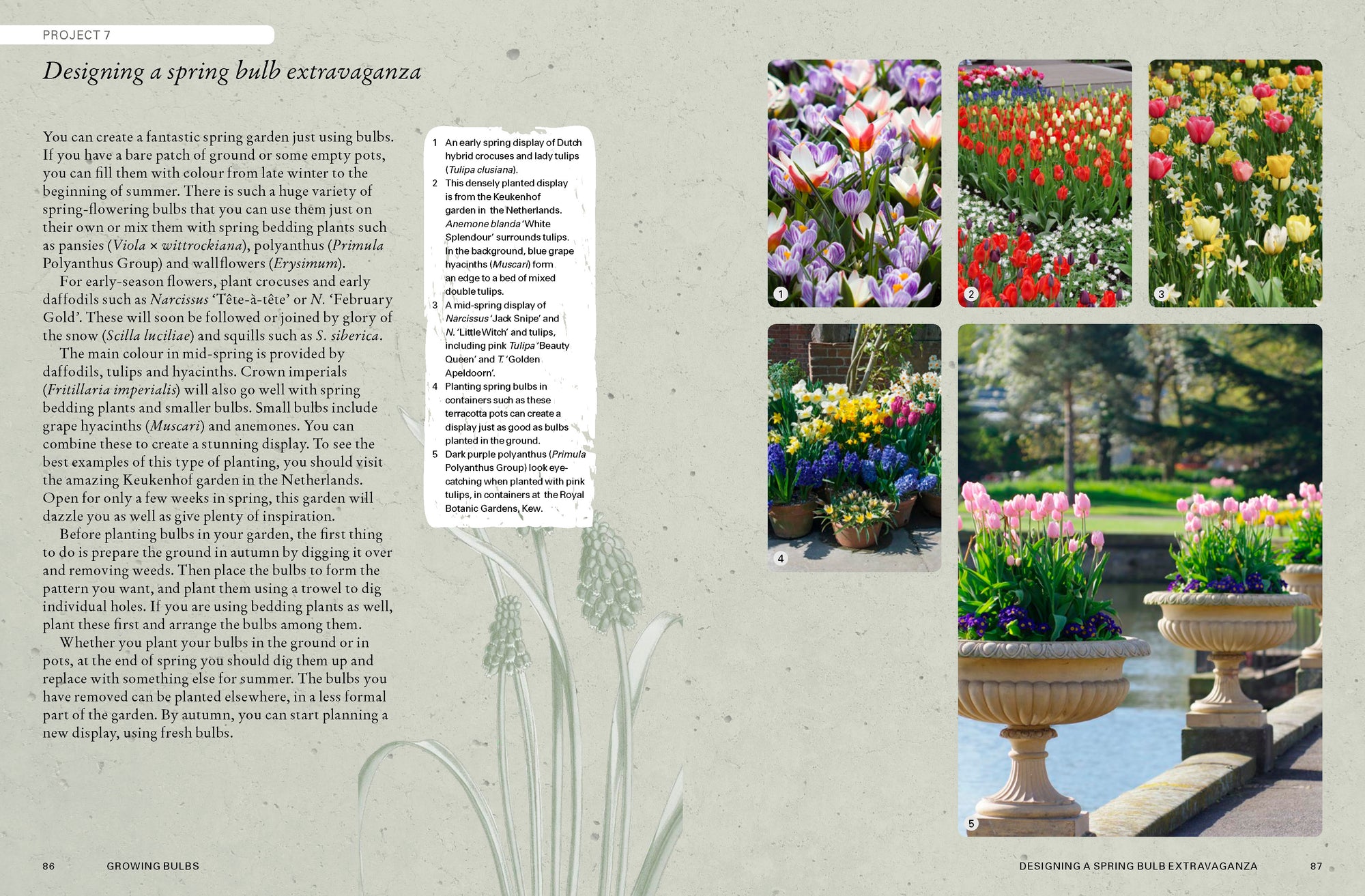 The Kew Gardener's Guide to Growing Bulbs