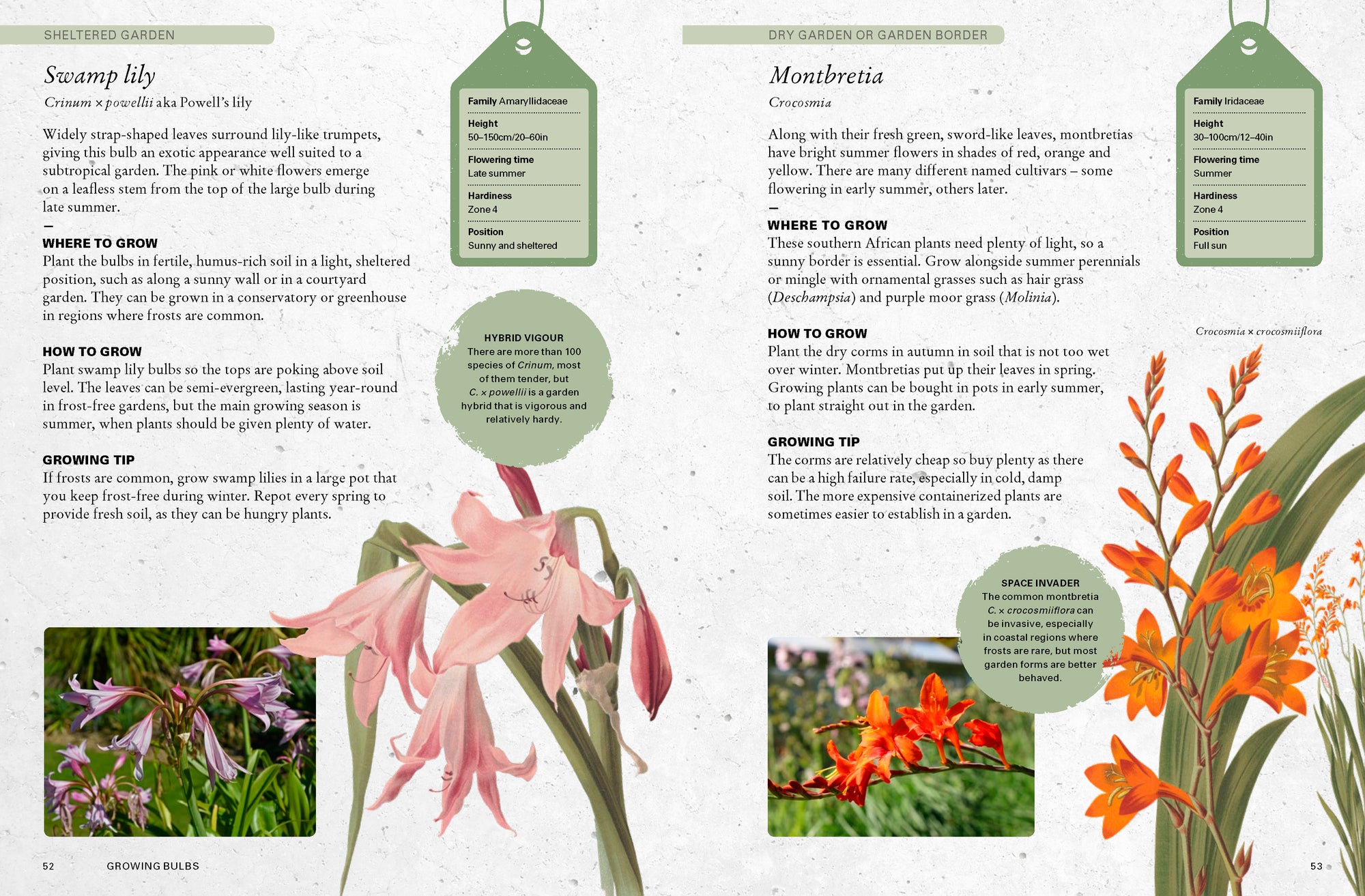 The Kew Gardener's Guide to Growing Bulbs