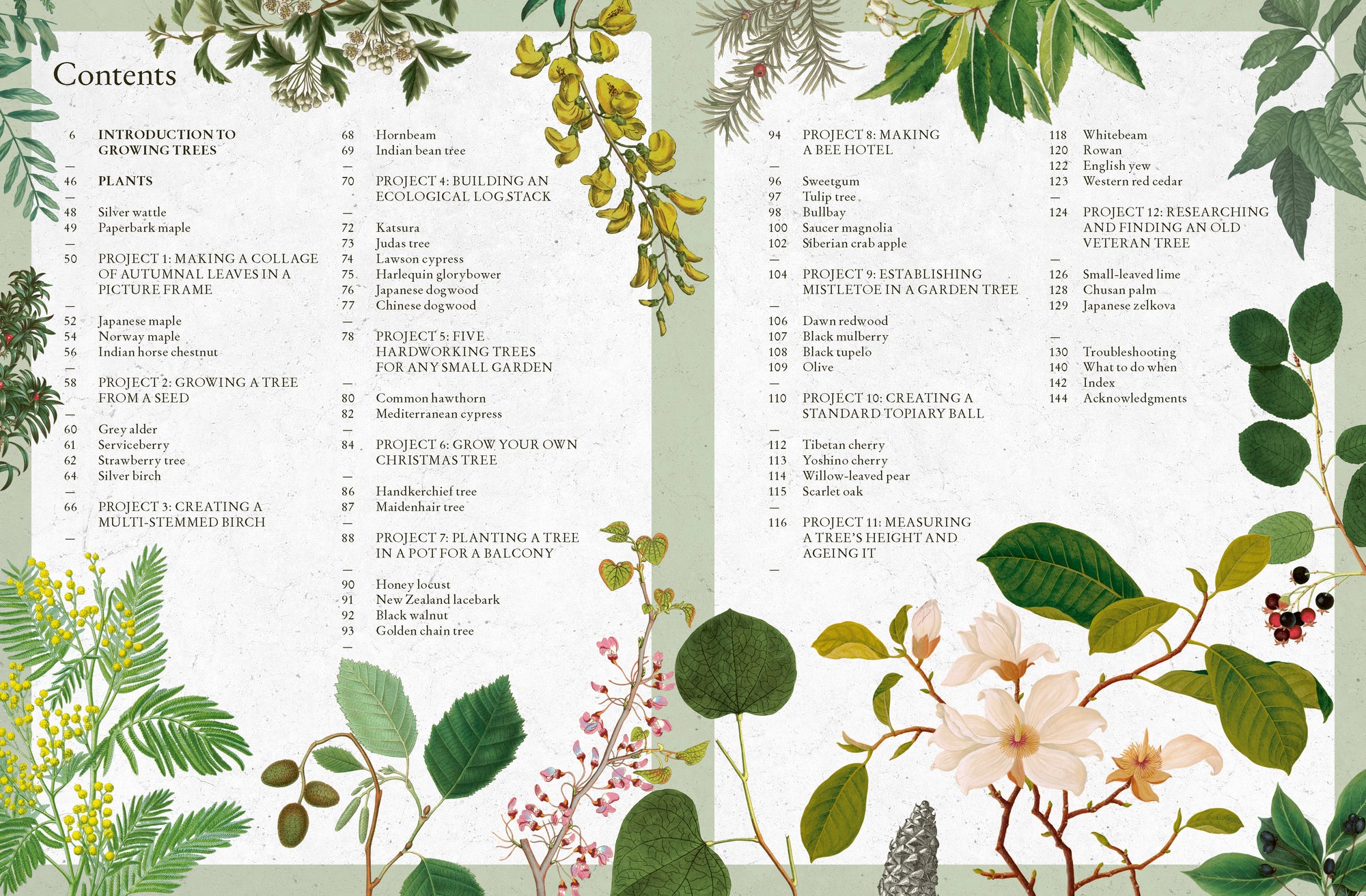 The Kew Gardener's Guide to Growing Trees