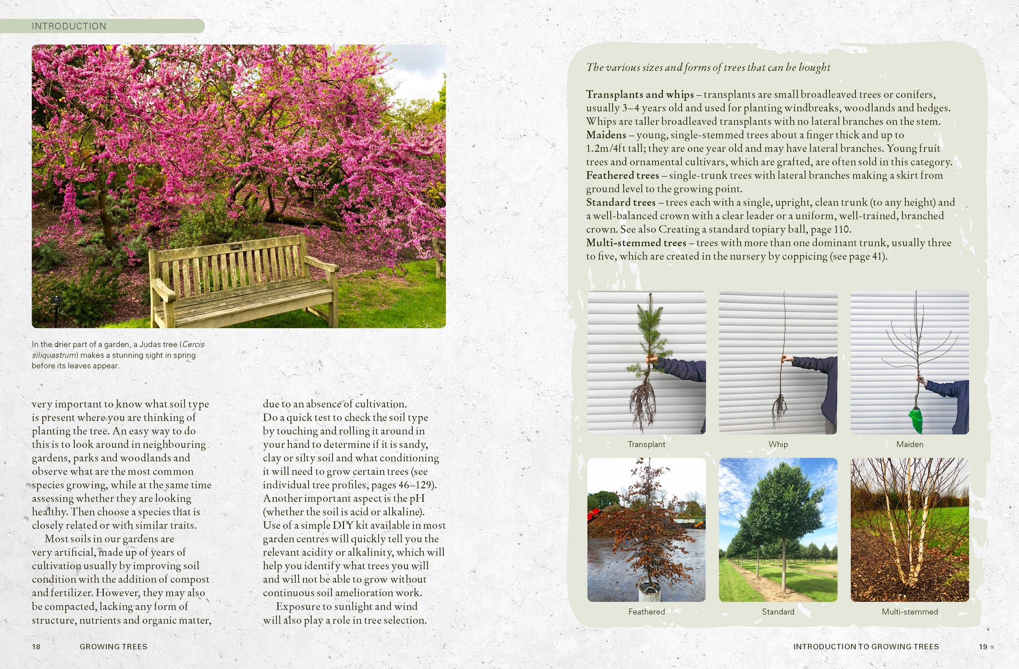 The Kew Gardener's Guide to Growing Trees