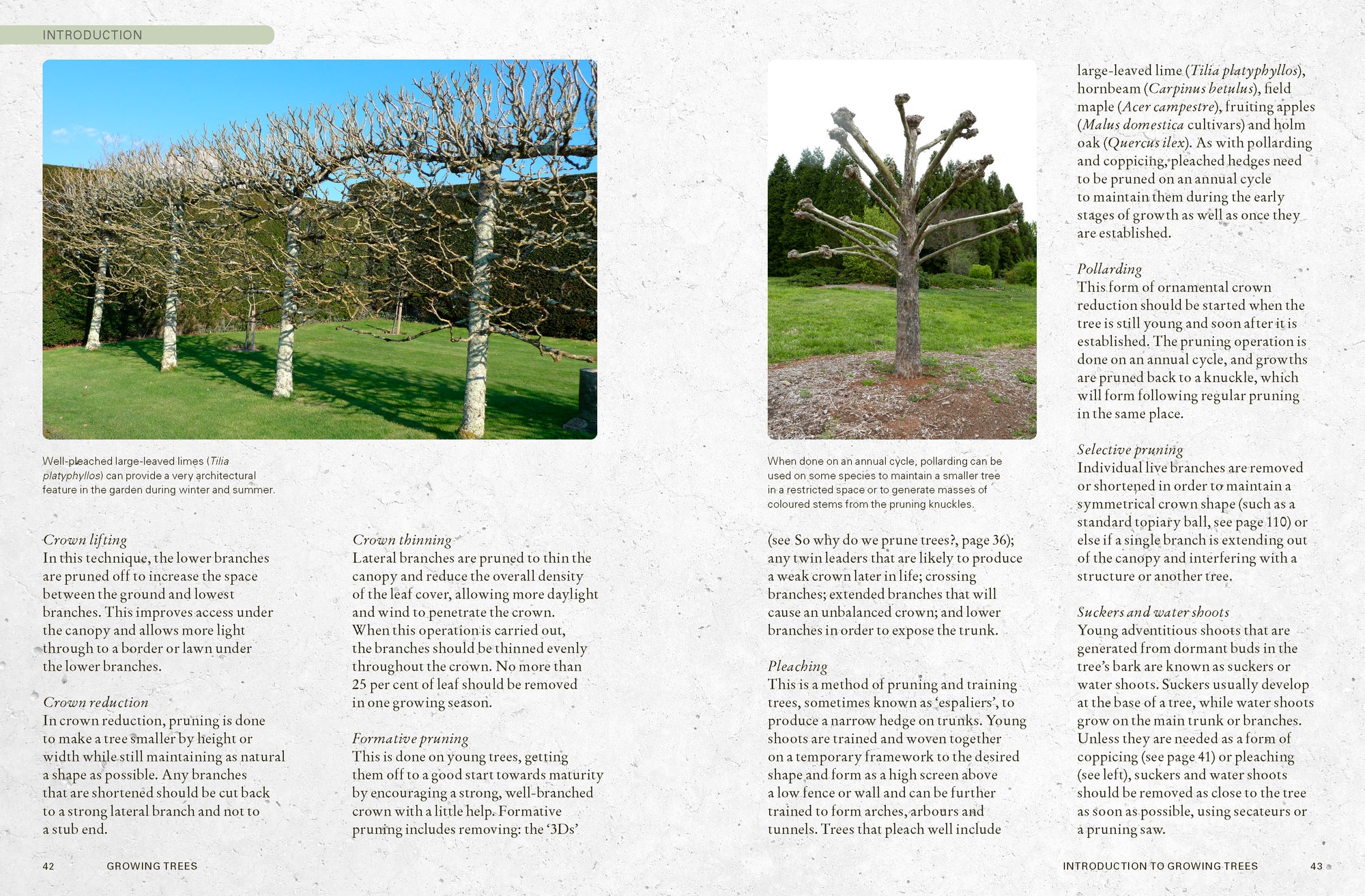 The Kew Gardener's Guide to Growing Trees