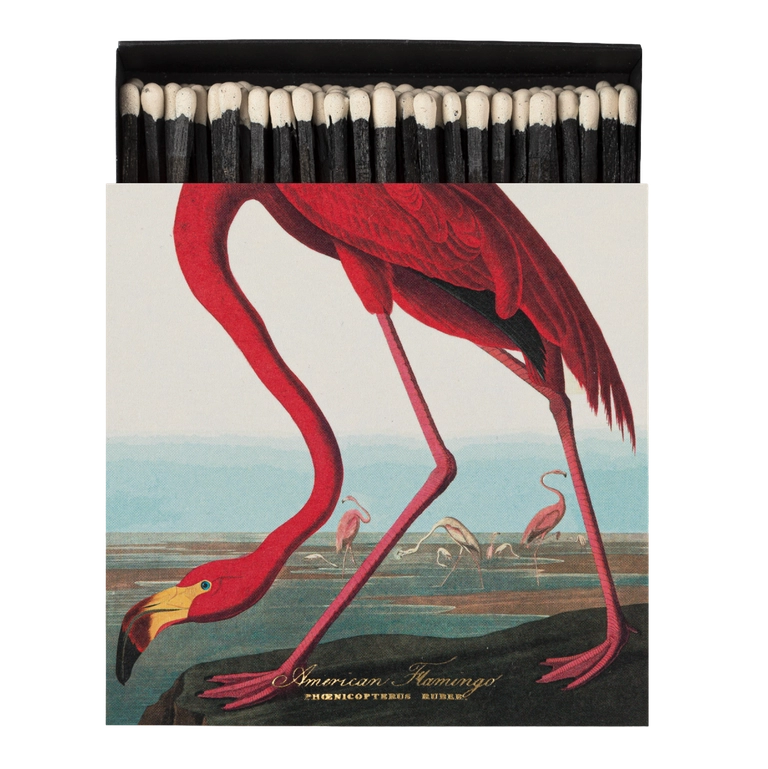 Square Matchboxes, American Flamingo